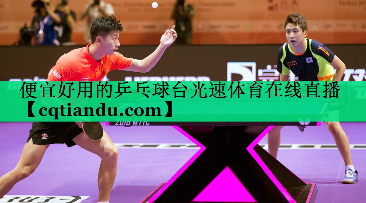 便宜好用的乒乓球台光速体育在线直播