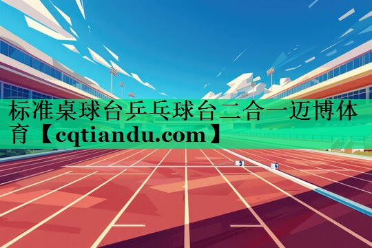 标准桌球台乒乓球台二合一迈博体育