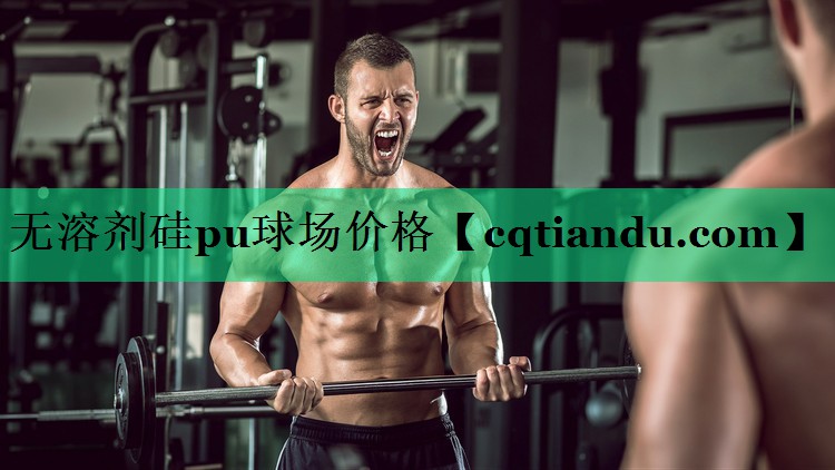 无溶剂硅pu球场价格