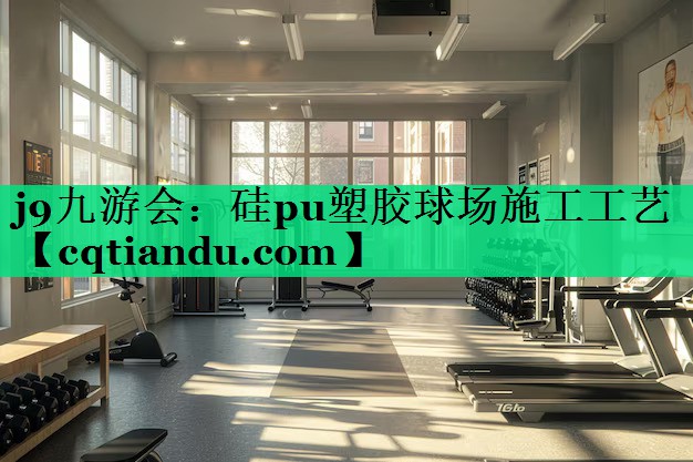 硅pu塑胶球场施工工艺