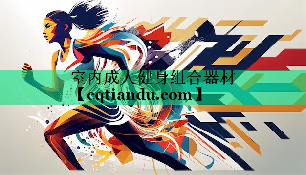 室内成人健身组合器材